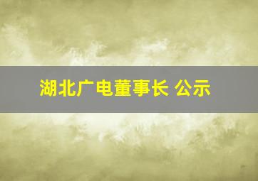 湖北广电董事长 公示